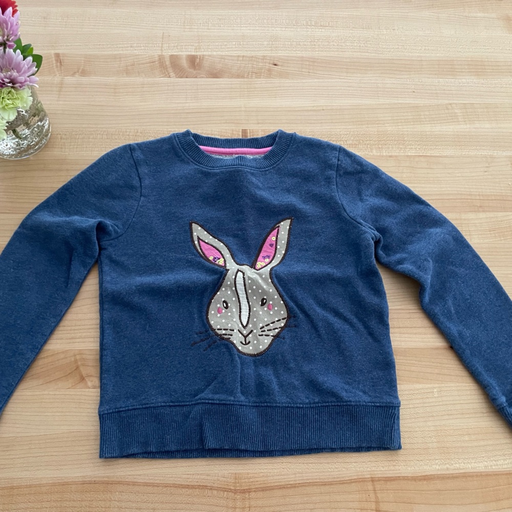 Mini Boden sweatshirt
